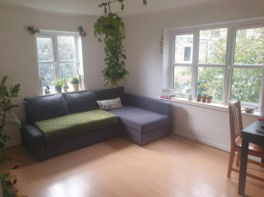Peaceful room on sharing flat in Wimbledon